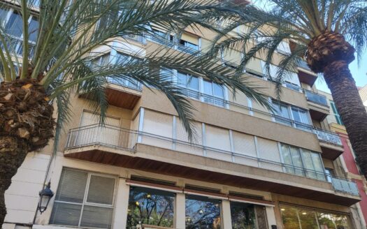Local en Elche